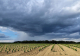 Météo : Une semaine perturbée et plus fraîche