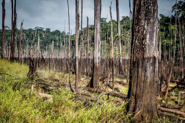 « Niveau critique » © Bernard Gissinger