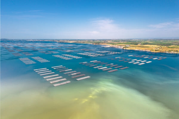 « La lagune blanchie par la fournaise » © Florian Ambrosino