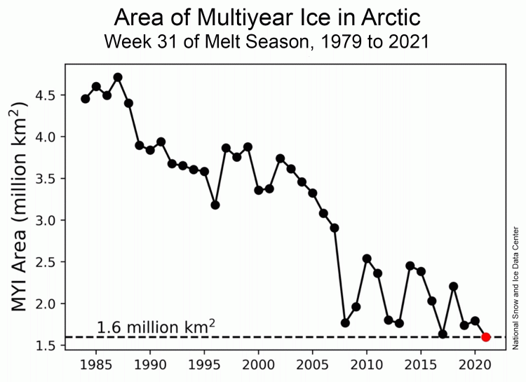 Figure 1 - Quantité  de glace pluriannuelle la première semaine d’août (30 juillet au 5 août), depuis le début des mesures en 1979. © Robbie Mallett.