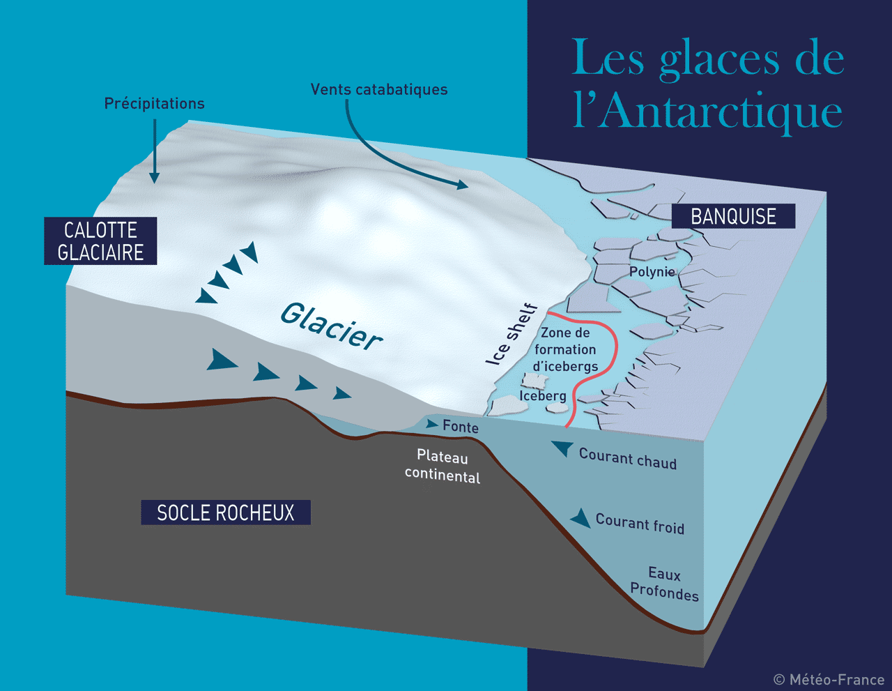 Quelle Est La Difference Entre La Banquise Et La Calotte Glaciaire Meteo France